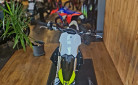 TRIUMPH TF 250-X