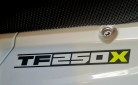 TRIUMPH TF 250-X