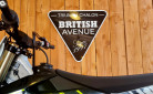 TRIUMPH TF 250-X