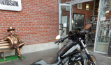 HARLEY-DAVIDSON DYNA LOW RIDER 1800 S
