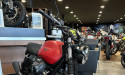 MOTO GUZZI V7 STONE