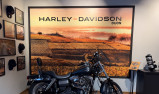 HARLEY-DAVIDSON DYNA FAT BOB 1584