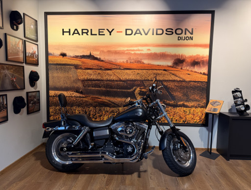 HARLEY-DAVIDSON DYNA FAT BOB 1584