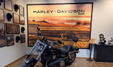 HARLEY-DAVIDSON DYNA FAT BOB 1584