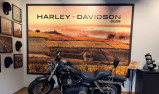 HARLEY-DAVIDSON DYNA FAT BOB 1584
