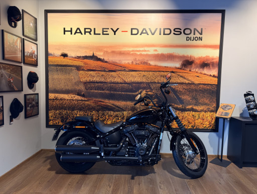 HARLEY-DAVIDSON SOFTAIL STREET BOB 1868