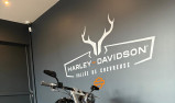 HARLEY-DAVIDSON SOFTAIL BREAKOUT 1690
