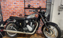 BSA goldstard