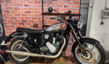 BSA goldstard