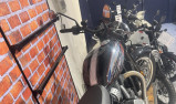 BSA goldstard