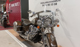 INDIAN SPRINGFIELD