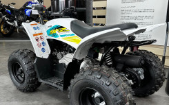 YAMAHA YFZ 50 YFZ50