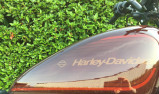HARLEY-DAVIDSON SPORTSTER 1200 NS