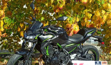 KAWASAKI Z 650