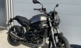 BENELLI LEONCINO 800