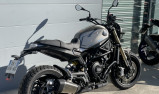 BENELLI LEONCINO 800
