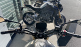 BENELLI LEONCINO 800