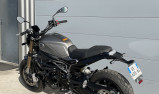 BENELLI LEONCINO 800