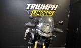 TRIUMPH TIGER 1200 RALLY PRO