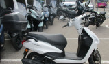 YAMAHA D