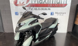 TRICITY 300