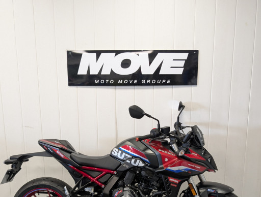 SUZUKI GSX-8S SERT 174/MOIS