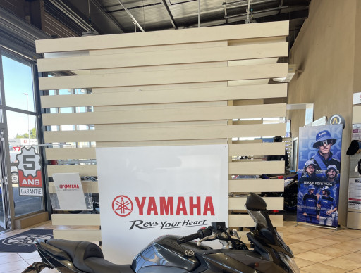 YAMAHA DIVERSION 