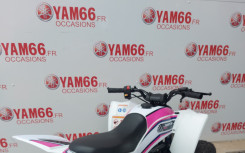 YAMAHA YFZ 50 RAPTOR