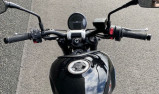 TRIUMPH TRIDENT 660