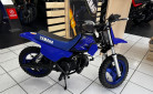YAMAHA PW50