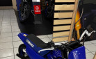 YAMAHA PW50
