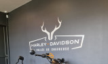 HARLEY-DAVIDSON SPORTSTER NIGHTSTER 975 SPECIAL