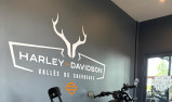 HARLEY-DAVIDSON SPORTSTER NIGHTSTER 975 SPECIAL