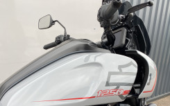 HARLEY-DAVIDSON ADVENTURE PAN AMERICA 1250 ST