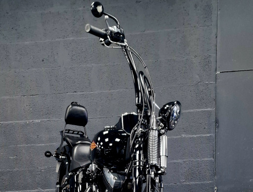 TRES BELLE HARLEY-DAVIDSON SOFTAIL SPRINGER 1584 CROSS BONES NOIR 
