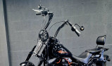 TRES BELLE HARLEY-DAVIDSON SOFTAIL SPRINGER 1584 CROSS BONES NOIR 