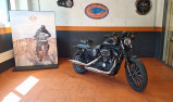 HARLEY-DAVIDSON SPORTSTER IRON 883 ABS