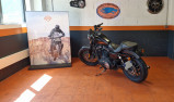 HARLEY-DAVIDSON SPORTSTER IRON 883 ABS