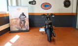 HARLEY-DAVIDSON SPORTSTER IRON 883 ABS