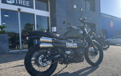 TRIUMPH SCRAMBLER 900