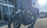 TRIUMPH SCRAMBLER 900