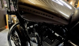 HARLEY-DAVIDSON SPORTSTER CUSTOM 1200