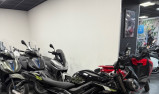 TRIUMPH STREET TRIPLE 765 RS 2024