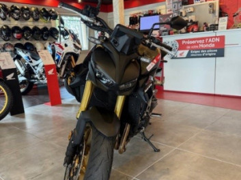 Hornet 1000 SP