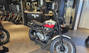 TRIUMPH SCRAMBLER 900