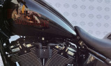 HARLEY-DAVIDSON SOFTAIL LOW RIDER 1923 ST