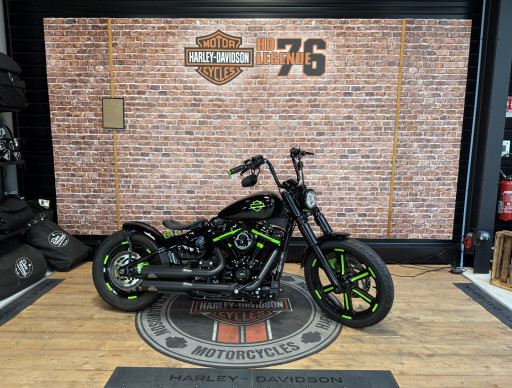 HARLEY-DAVIDSON SOFTAIL STANDARD 1745 ECOLOGY