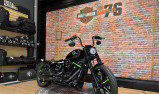 HARLEY-DAVIDSON SOFTAIL STANDARD 1745 ECOLOGY