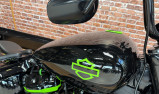 HARLEY-DAVIDSON SOFTAIL STANDARD 1745 ECOLOGY