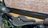 HARLEY-DAVIDSON SOFTAIL STANDARD 1745 ECOLOGY